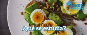 grado de nutricion y dietética